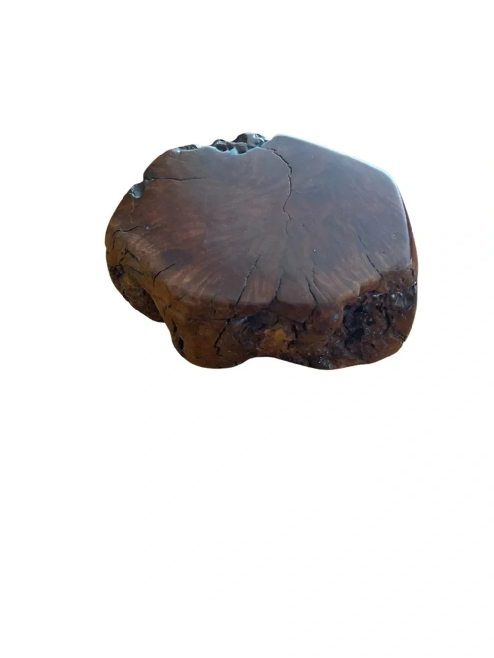 Handmade natural burl wood keepsake box